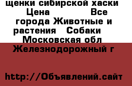 щенки сибирской хаски  › Цена ­ 10 000 - Все города Животные и растения » Собаки   . Московская обл.,Железнодорожный г.